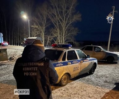 Завершено расследование уголовного дела в отношении жителя Воронежской области, обвиняемого в попытке дать взятку сотруднику полиции